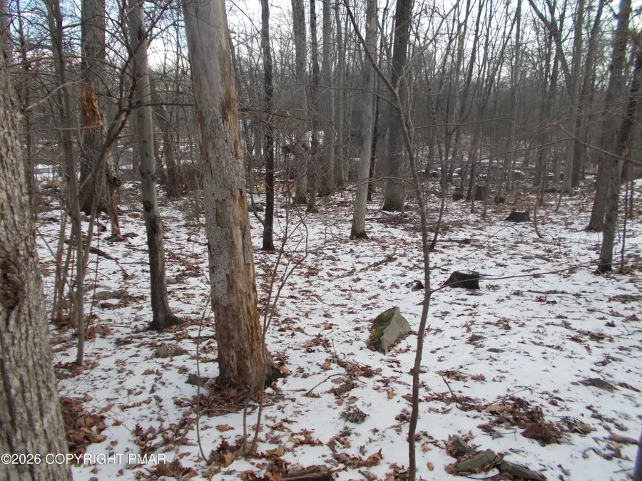 514 Bromley Road, Henryville, PA 18332 - Image #2