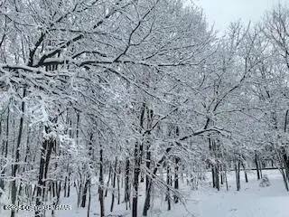 407 Sassafras Road, Albrightsville, PA 18210 - Image #1