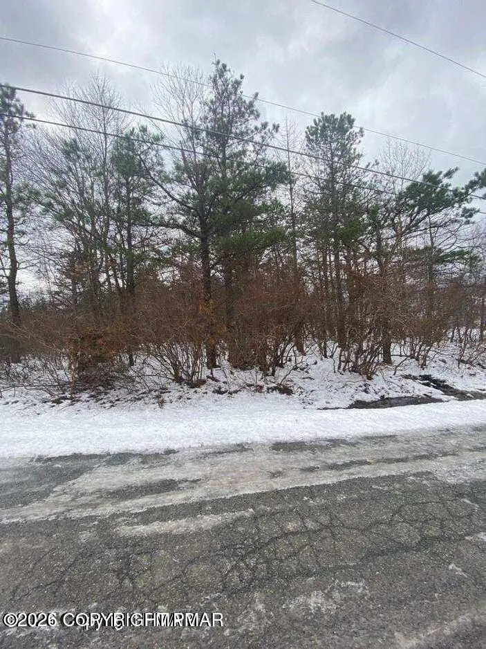 Spring Court, Bushkill, PA 18324 - Image #3