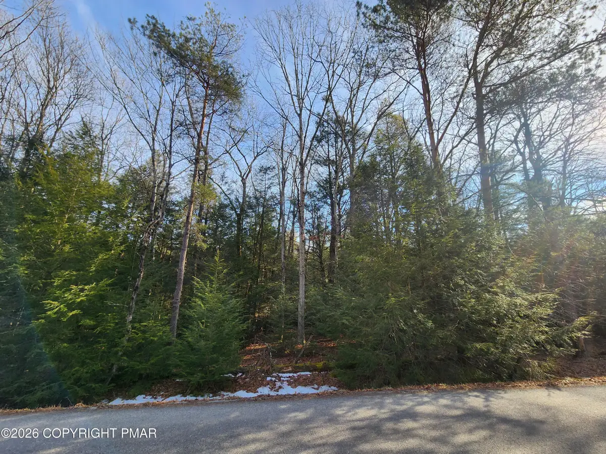 Lot EV378 Towamensing Trail, Albrightsville, PA 18210 - #1