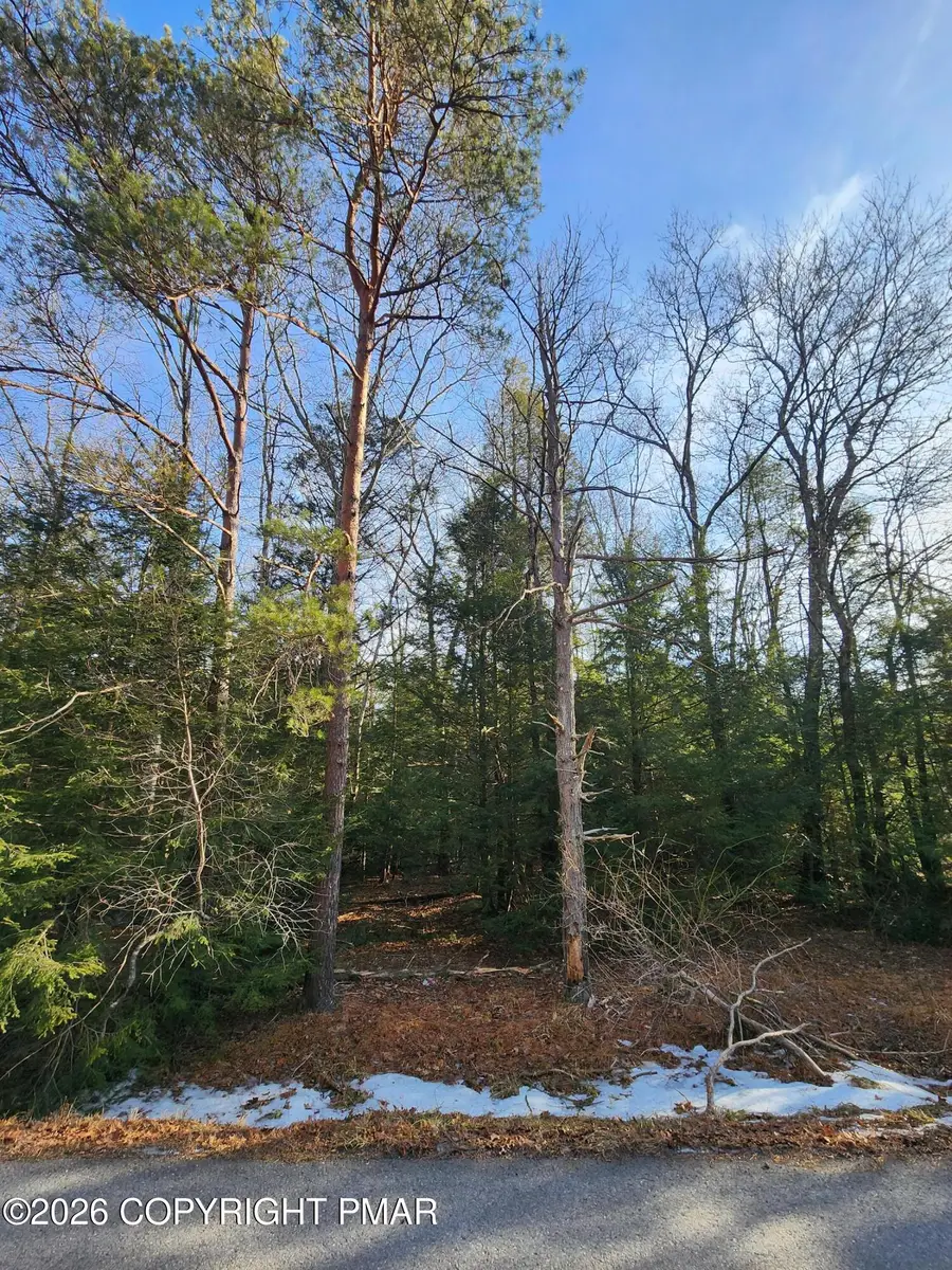 Lot EV378 Towamensing Trail, Albrightsville, PA 18210 - #3