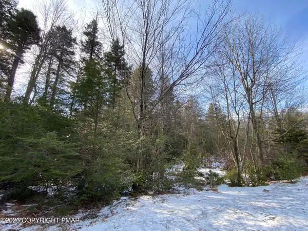 102 Minsi Trail W, Long Pond, PA 18334