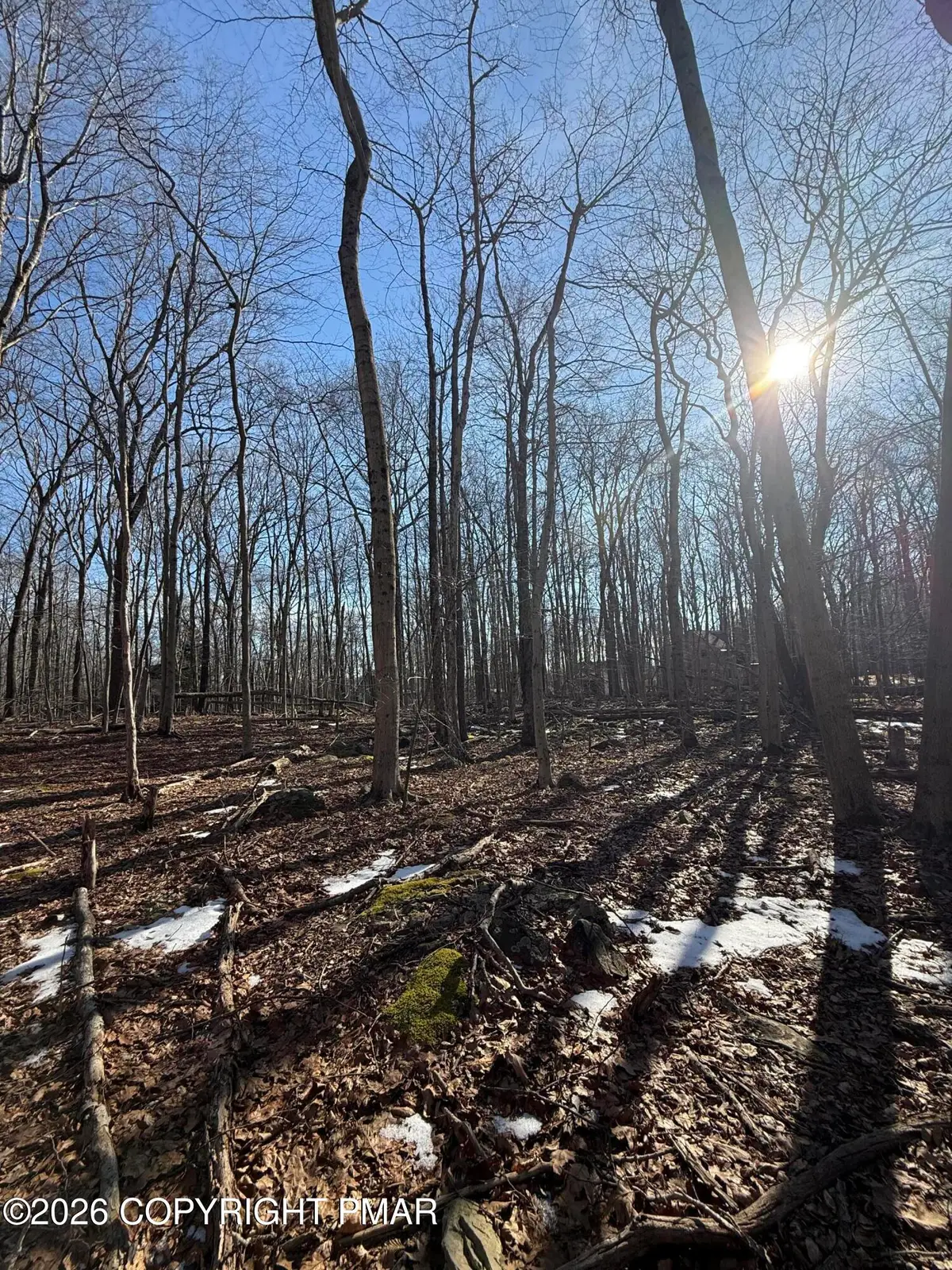 803 Selig Rd, Pocono Lake, PA 18347 - #1