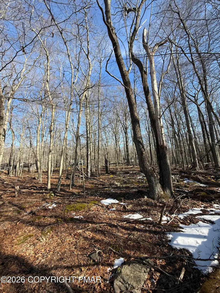 803 Selig Rd, Pocono Lake, PA 18347 - #3