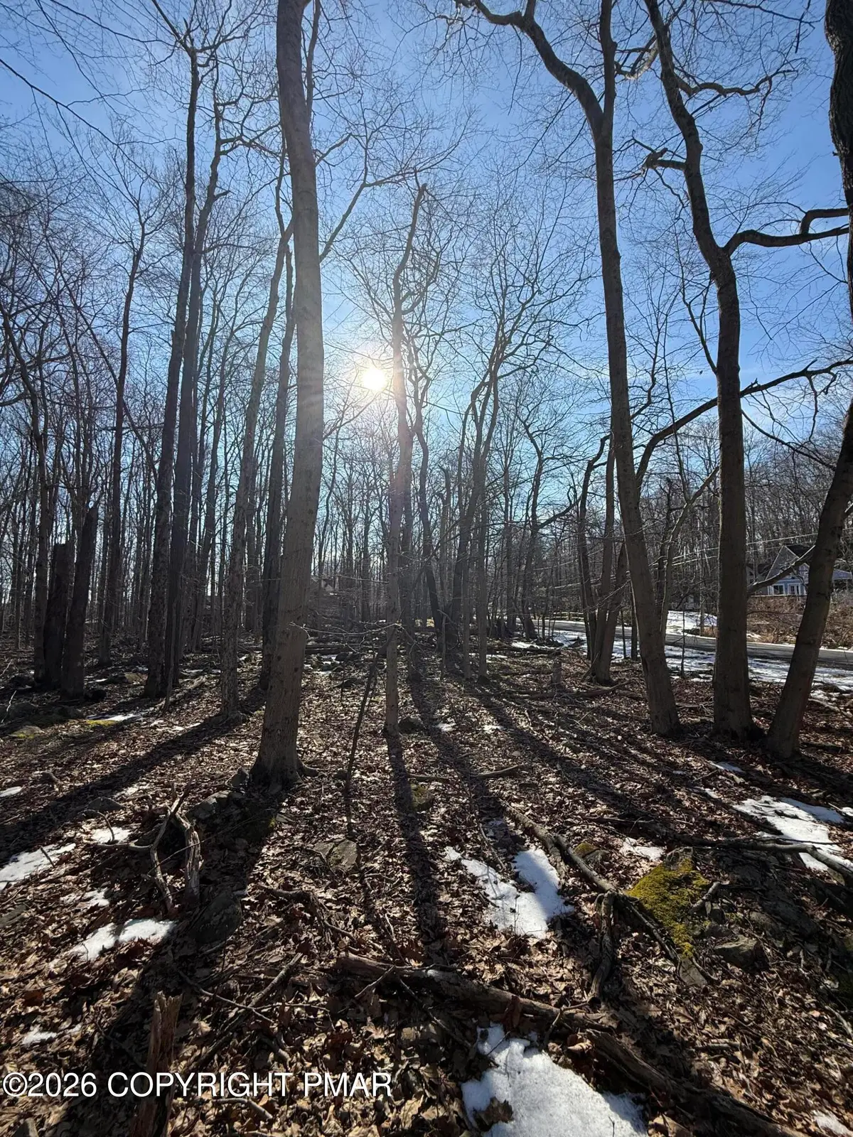 804 Selig Road, Pocono Lake, PA 18347 - #1