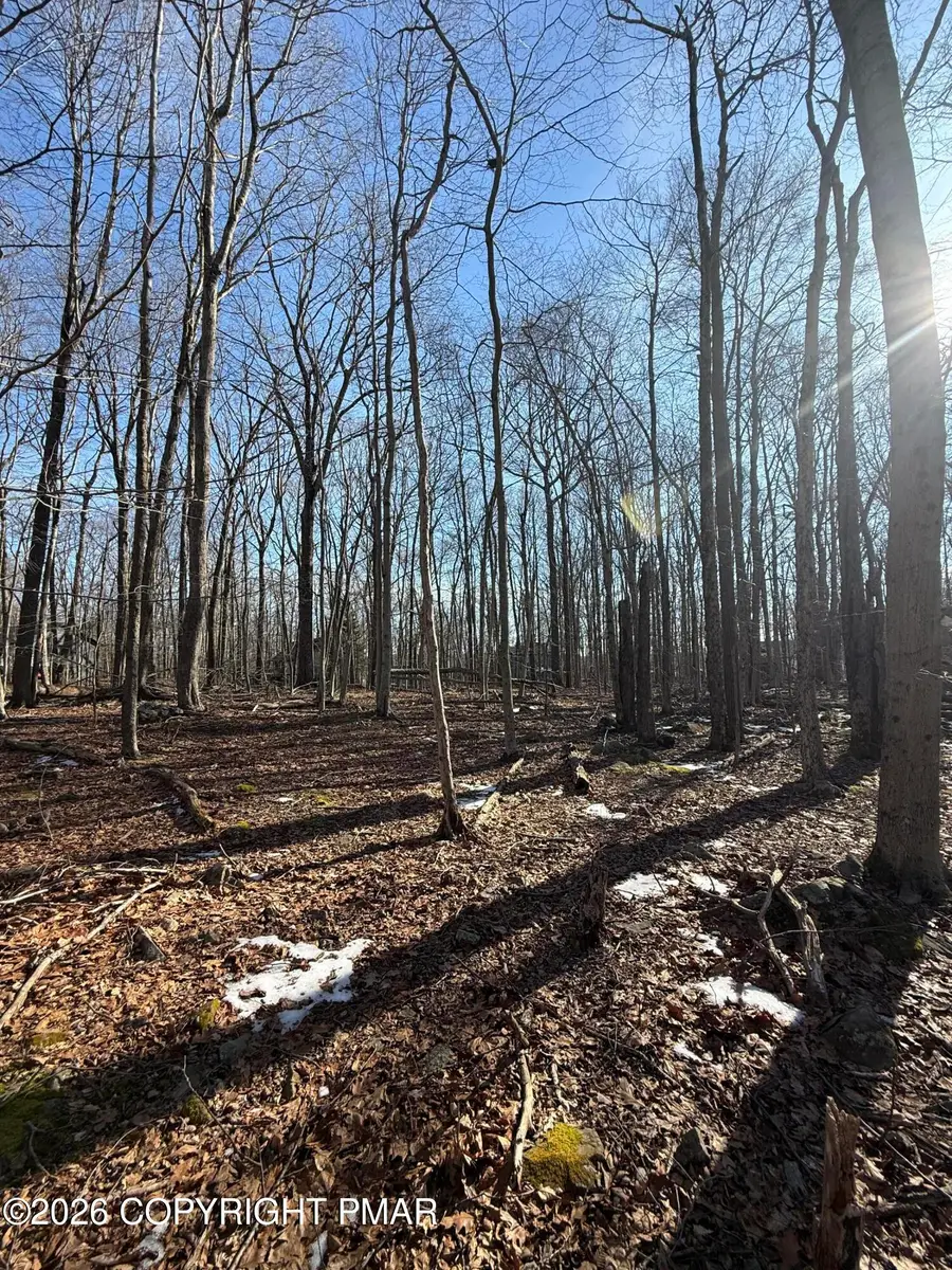 804 Selig Road, Pocono Lake, PA 18347 - #3