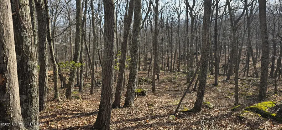 Cowaw Rd, Milford, PA 18337 - Image #2