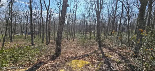 Bartlett Drive, Milford, PA 18337