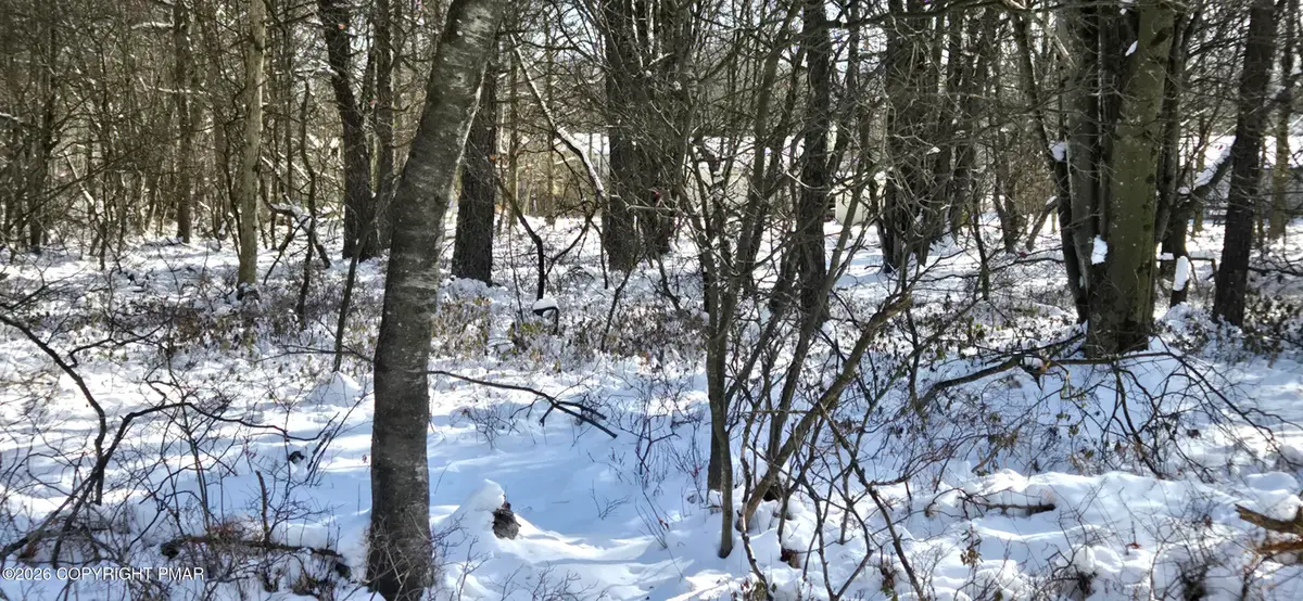 DP1445 Blackfoot Trail, Albrightsville, PA 18210 - Image #1