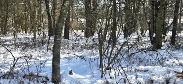 DP1445 Blackfoot Trail, Albrightsville, PA 18210