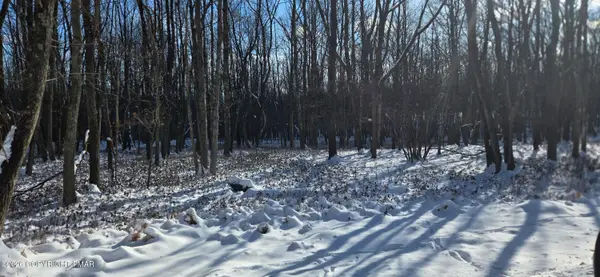 EP2152A Old Stage Road, Albrightsville, PA 18210