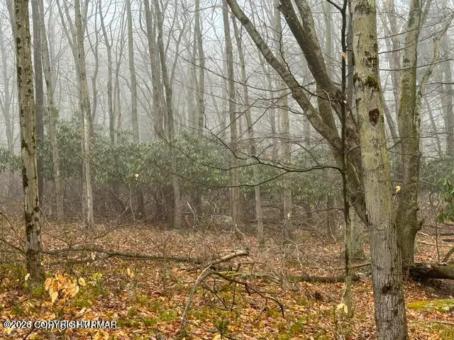 Lookout Point Rd, Lot 91, Canadensis, PA 18325 - #3