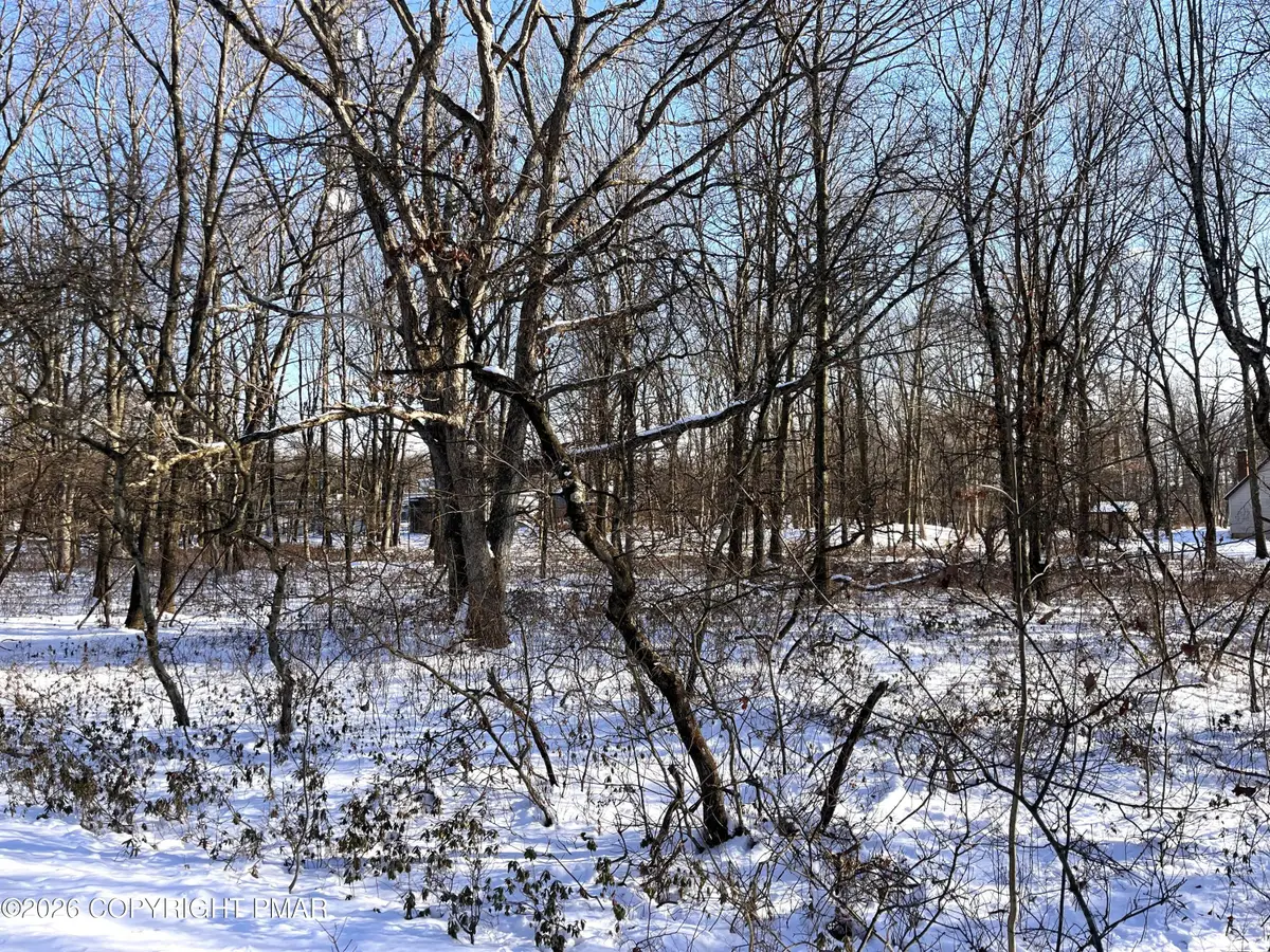 A22 Porter Drive, Jim Thorpe, PA 18229 - #1