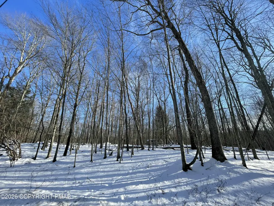 Berry Ln 217 Lane, Cresco, PA 18326 - #2