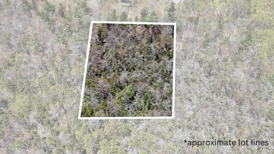 Lot 624 Laurel Road, Pocono Summit, PA 18346 - #2
