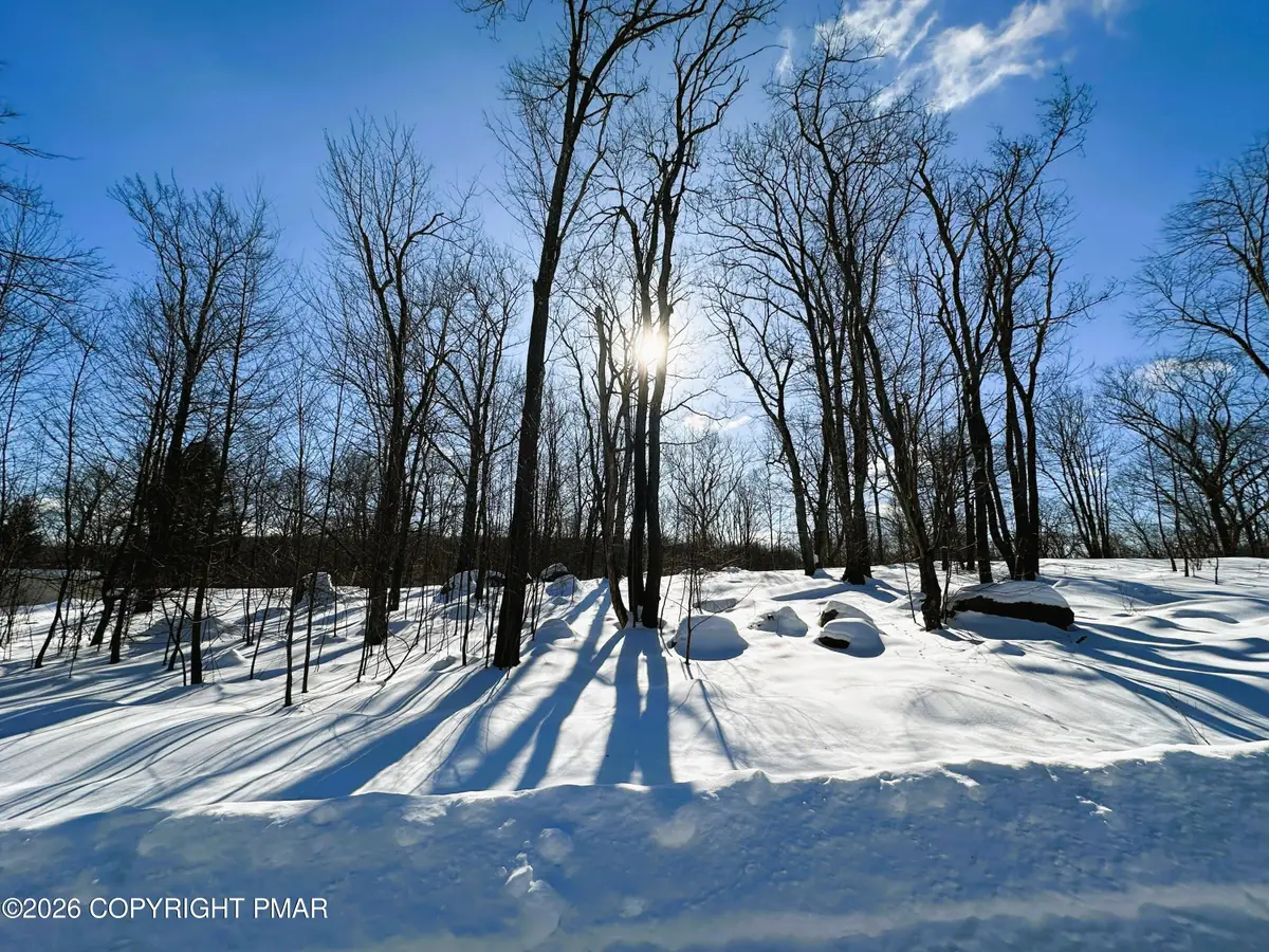 Noah Ct 11, Canadensis, PA 18325 - #1