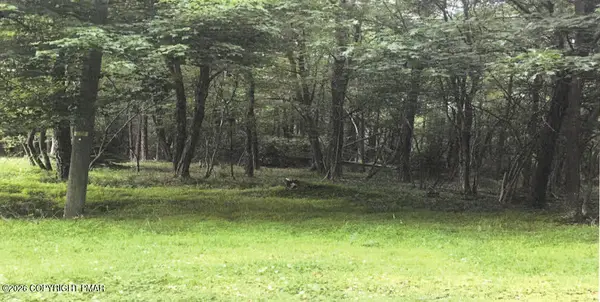 Pine Tree Rd 824 Road, Pocono Summit, PA 18346