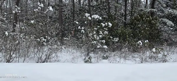 Trail Ridge Road, Albrightsville, PA 18210