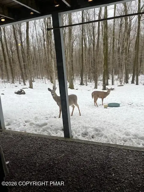 132 Cardinal Drive, Gouldsboro, PA 18424 - #3