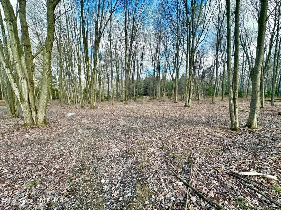 Lot 54 Stems Way, Gouldsboro, PA 18424 - #3