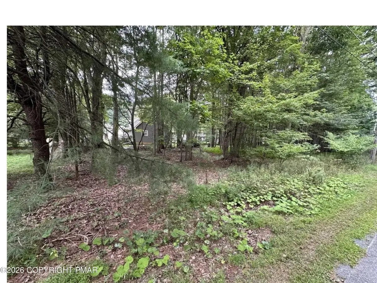 1151 Lexington Avenue, Mount Pocono, PA 18344 - #1