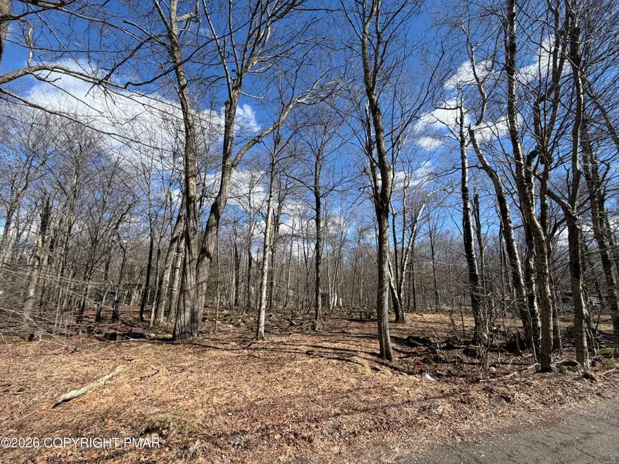 11 Smoke Signal Path, Gouldsboro, PA 18424 - #3