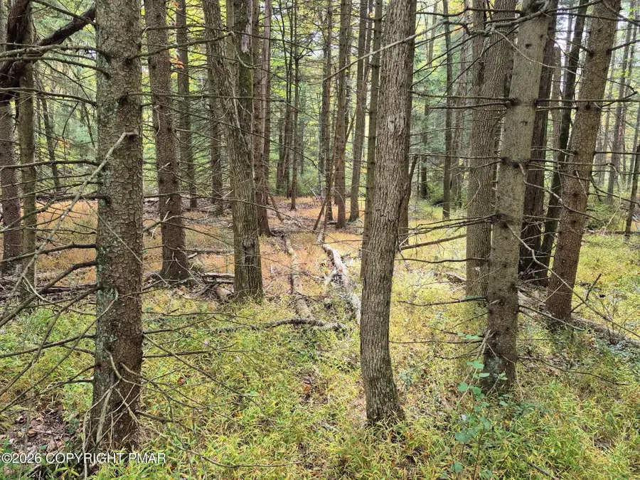 Millheim Road, Bath, PA 18014 - #2