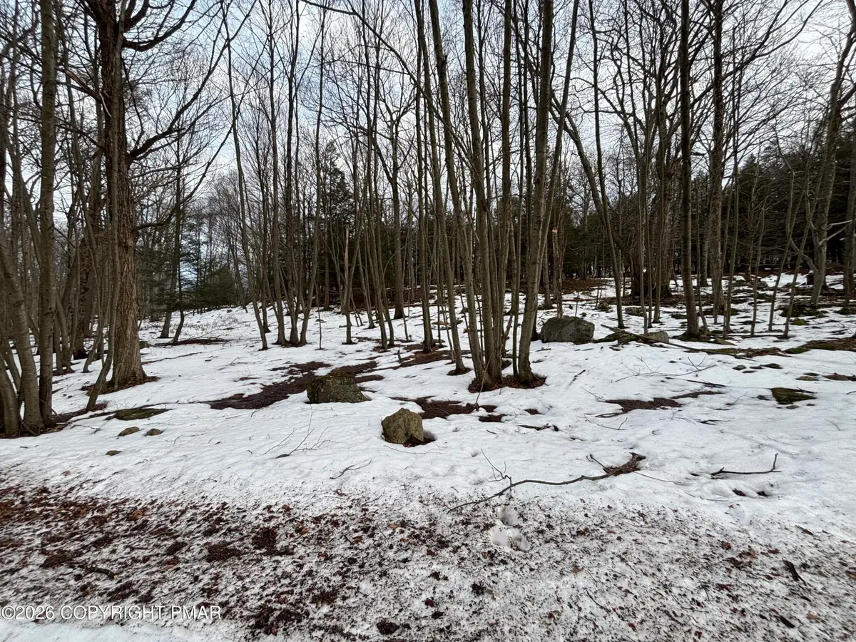 Lots 113/114- Bass Court, Canadensis, PA 18325 - #1