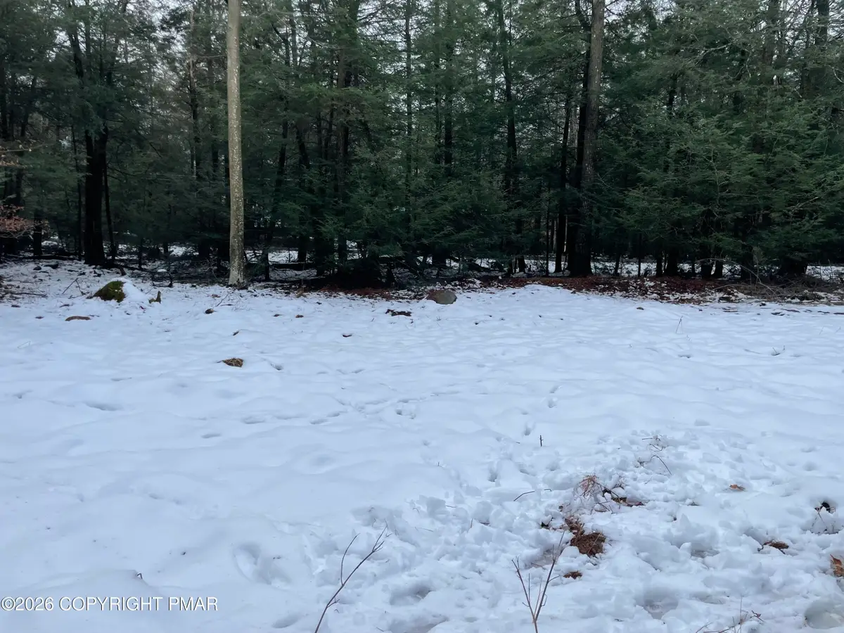 166 Lakeside Lane, Albrightsville, PA 18210 - #1
