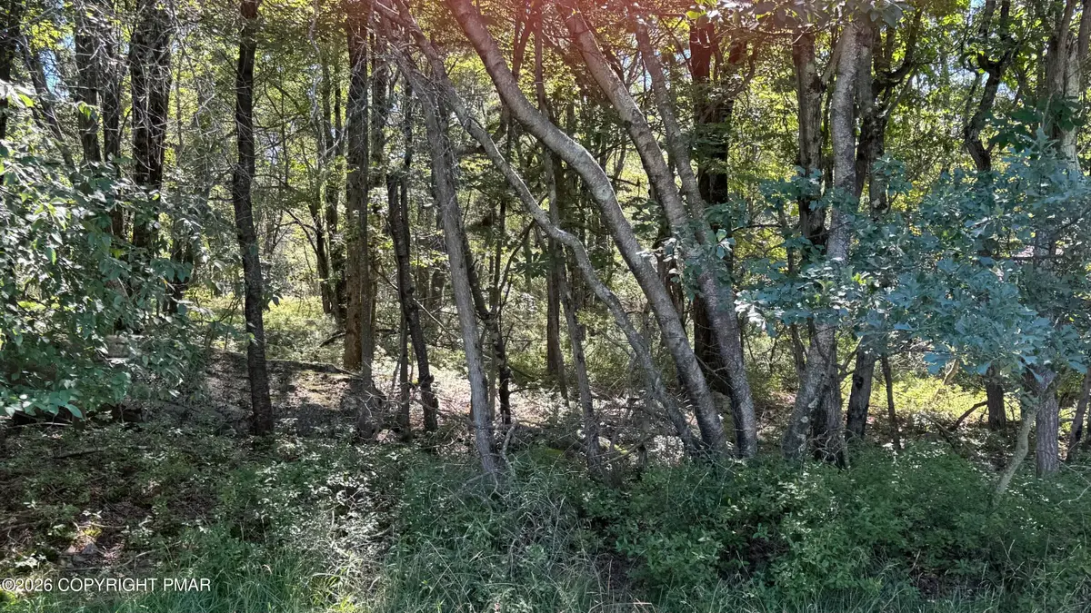 Lot 45 Elk Dr Lot 45 Drive, Blakeslee, PA 18610 - #1