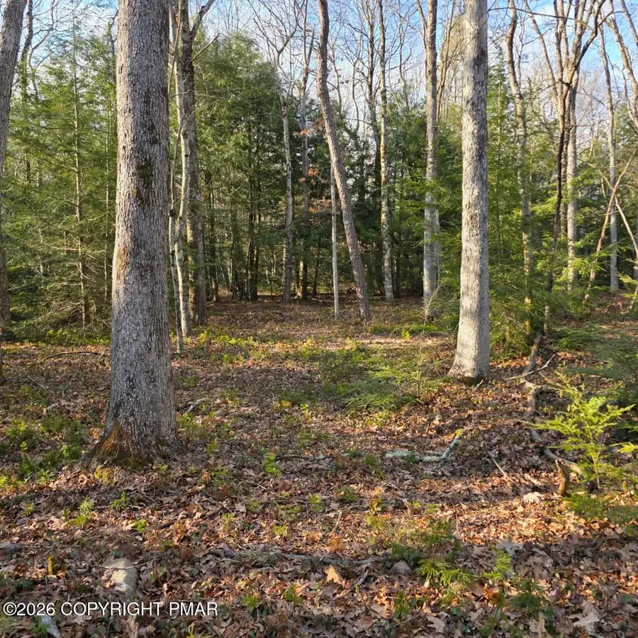 Snowy Ridge, Jim Thorpe, PA 18229 - #3