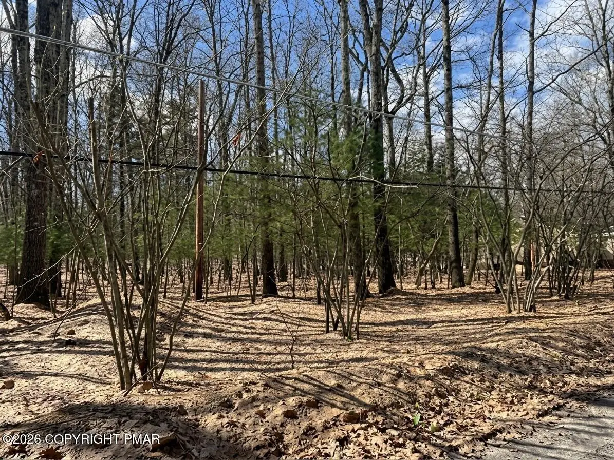 Lots 22 & 24 Daffodil Road, East Stroudsburg, PA 18302 - #1