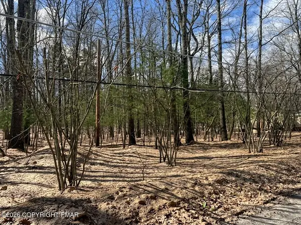 Lots 22 & 24 Daffodil Road, East Stroudsburg, PA 18302