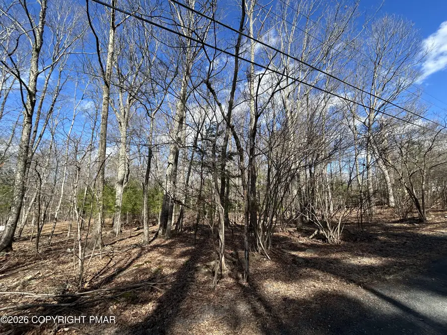 Lots 22 & 24 Daffodil Road, East Stroudsburg, PA 18302 - #3