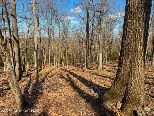 318 Cardinal Road, Cresco, PA 18326