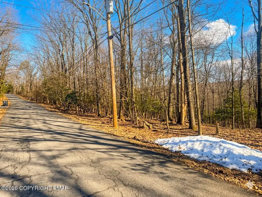 318 Cardinal Road, Cresco, PA 18326 - #3