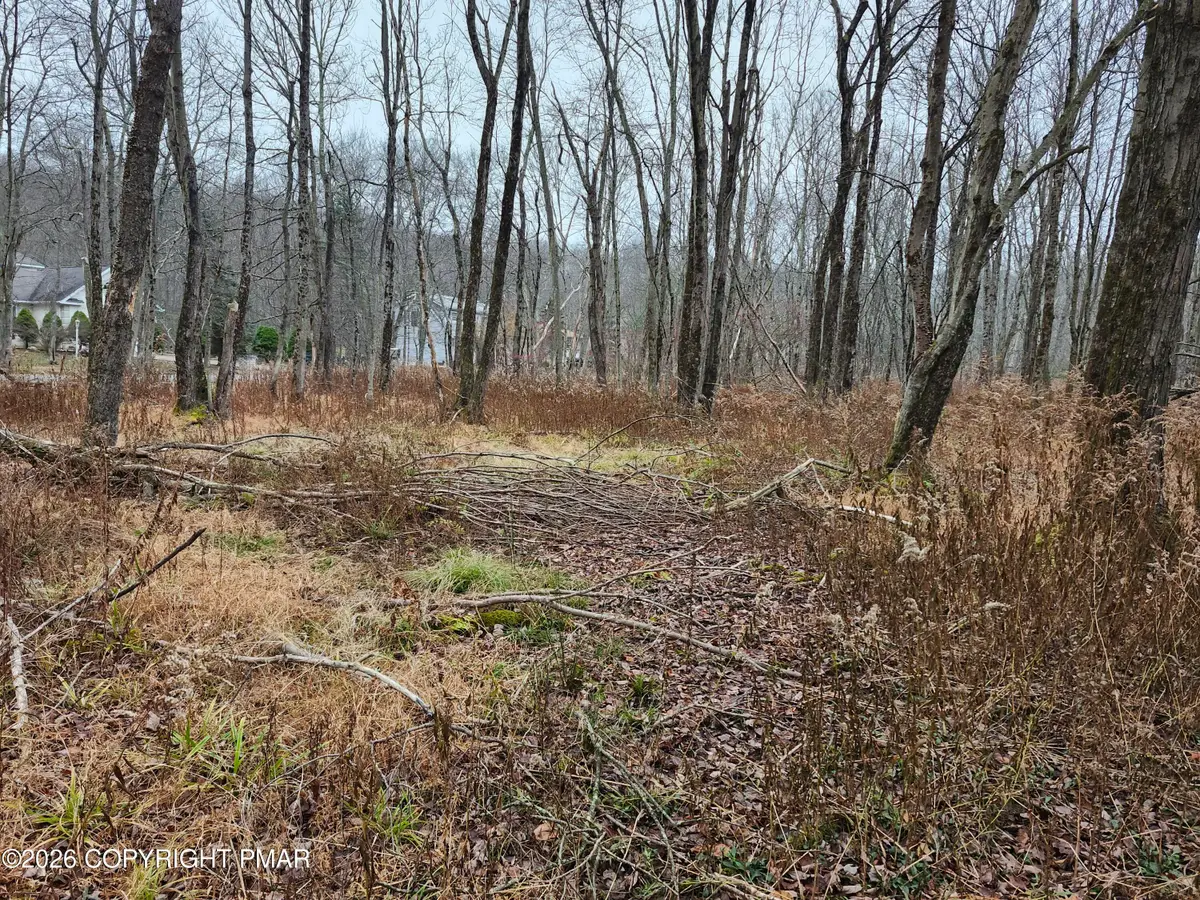 Oak View Lane, Tobyhanna, PA 18466 - #1