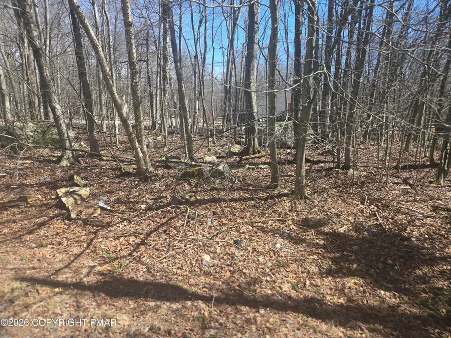 Chipmunk Drive, Coolbaugh, PA 18466 - #3