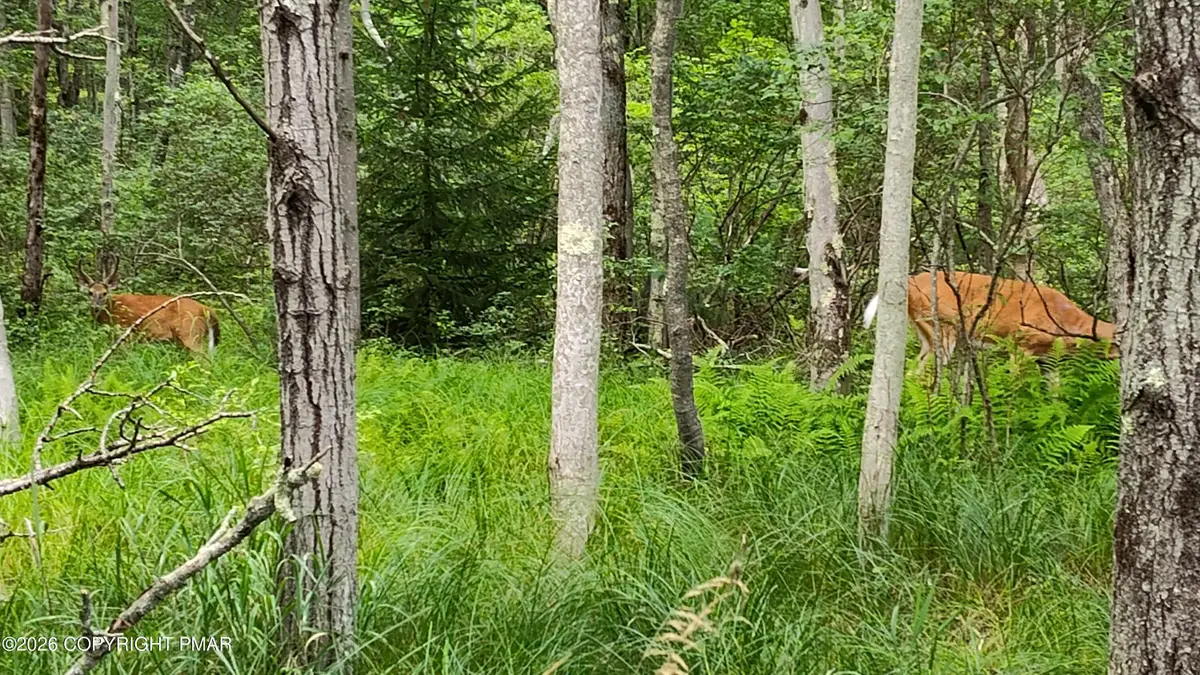 158 Overlook Dr 158 Drive, East Stroudsburg, PA 18301 - #1