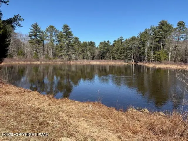 206 Cranberry Creek Road, Cresco, PA 18326 - #3