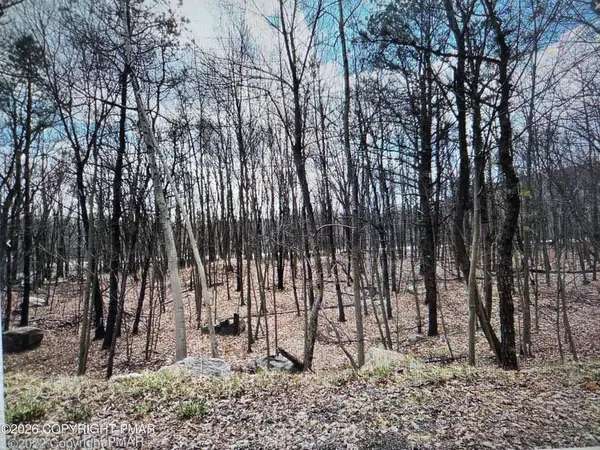 60 Mckinley Drive, Effort, PA 18330