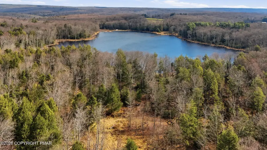 Stony Lonesome Road, Newfoundland, PA 18445 - #2