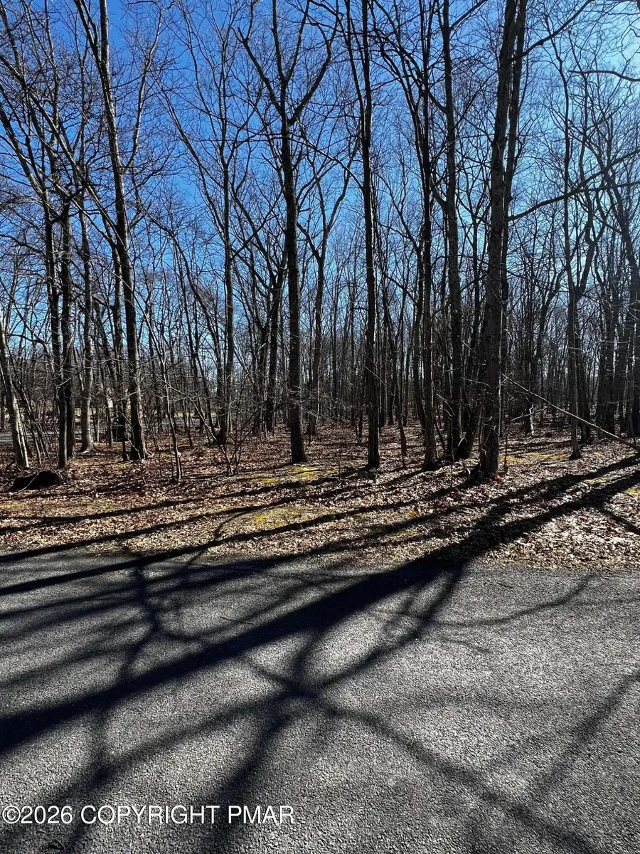 Sky Hawk Trail, East Stroudsburg, PA 18302 - #2