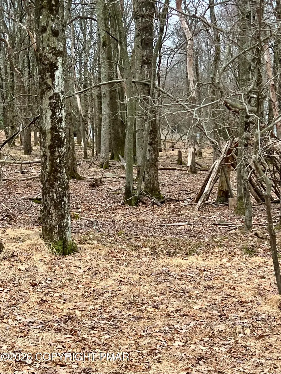 N Old Stage Road, Albrightsville, PA 18210 - #2