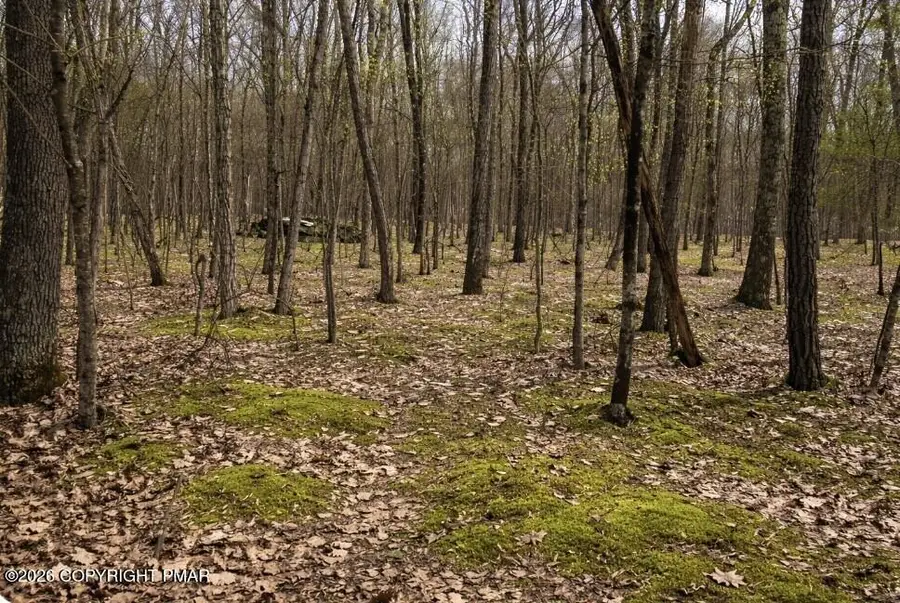 130 Juneberry Drive, Hawley, PA 18428 - #2