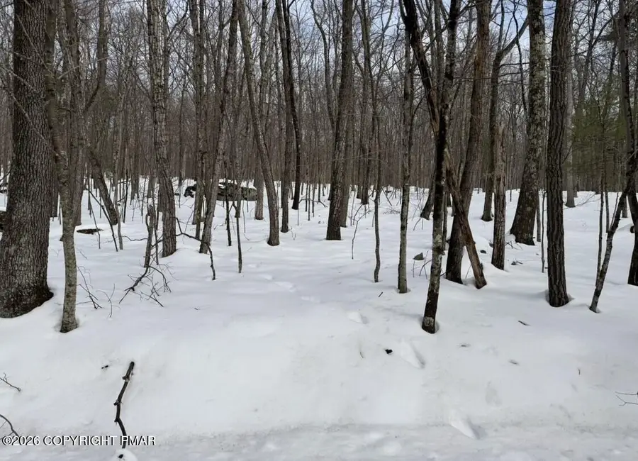 130 Juneberry Drive, Hawley, PA 18428 - #3