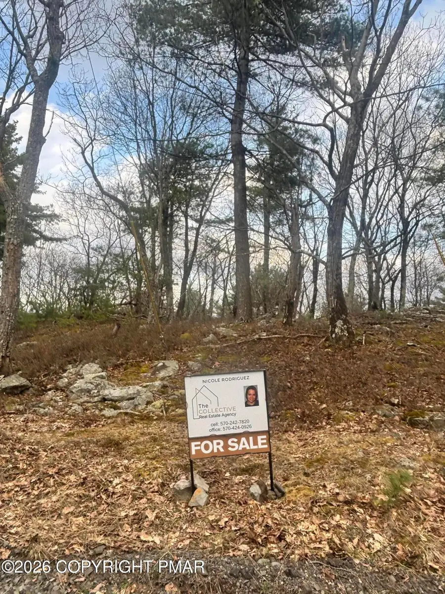 111 Country Club Road, Dingmans Ferry, PA 18328 - #2