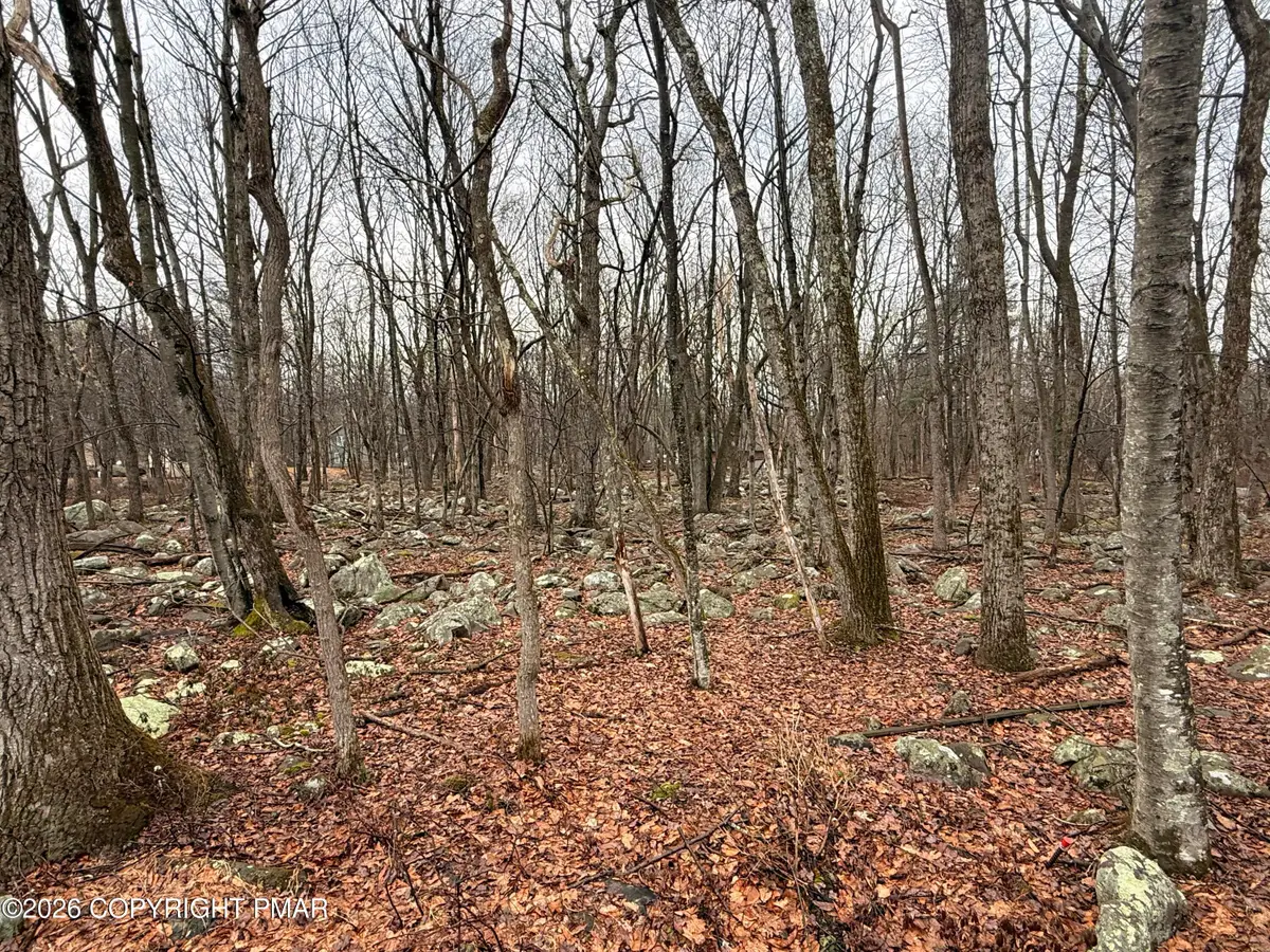 Lipo Way, Albrightsville, PA 18210 - #1