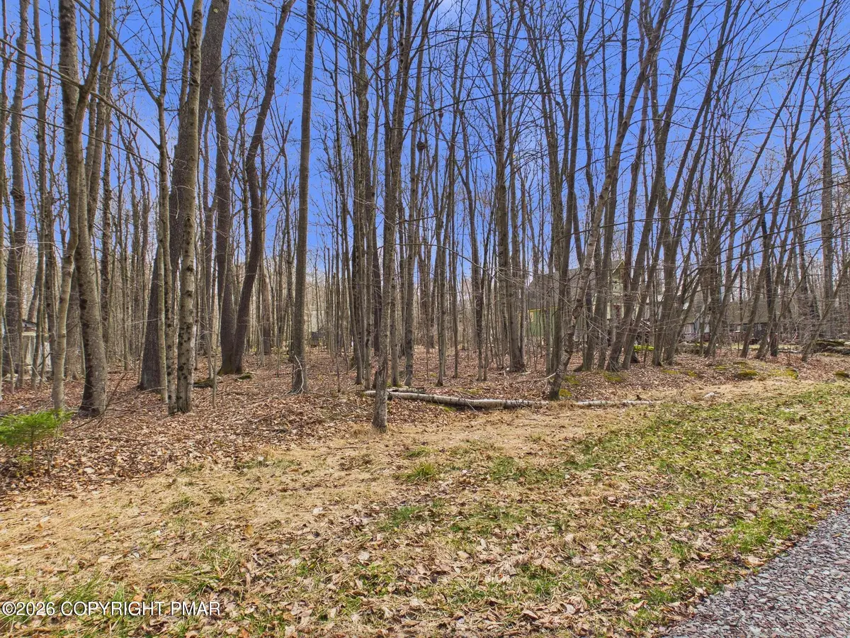 Croasdale Ct 22 Court, Pocono Lake, PA 18347 - #1