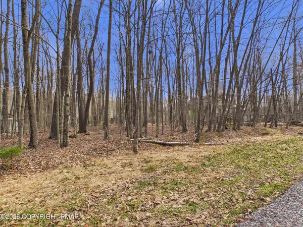 Croasdale Ct 22 Court, Pocono Lake, PA 18347